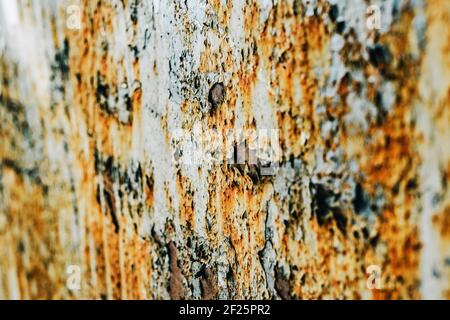 Textur einer Metallwand mit Rissen und Kratzern, die als Hintergrund verwendet werden kann. Eisen Stockfoto