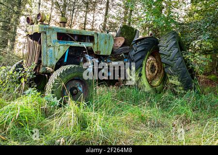 Ein rostiger alter stillgerochter Traktor im Wald Stockfoto