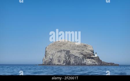 Bass Rock, Firth of Forth, Schottland Stockfoto