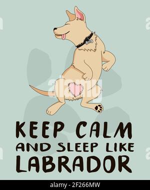 Bleiben Sie ruhig und schlafen Sie wie labrador. Liebenswert Cartoon Hund mit Pfote-Print auf dem Hintergrund. Vektor-Illustration von niedlichen schlafenden Welpen. Perfekt für den Druck auf T-Shirt, Tassen, Poster, Hintergrund, Tapete. Stock Vektor