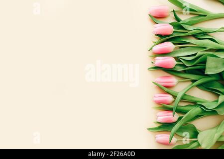 Bouquet von sanft rosa Tulpen auf einem hellen Hintergrund, Draufsicht Stockfoto