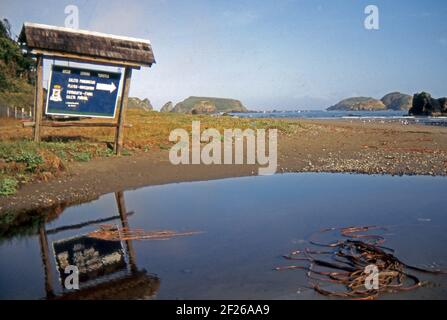 Patagonien Chile. Ancud, Chiloé Island (gescannt von Farblider) Stockfoto
