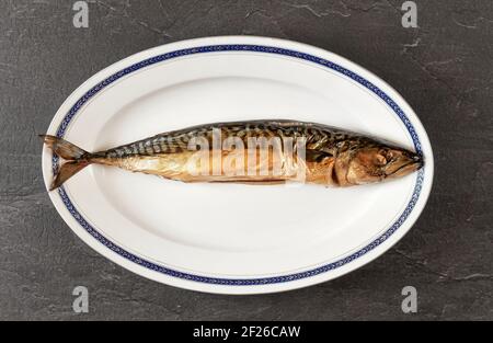 Ganze geräucherte Makrelenfische auf weißem ovalem Teller, grauschwarzer Stein wie Tischunterwand. Blick von oben Stockfoto