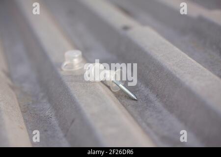 Dachschrauben mit durchsichtigen Kappen für die Dachmontage aus Rapezoidal-Metall. Nahaufnahme des Bildes mit selektivem Fokus. Stockfoto