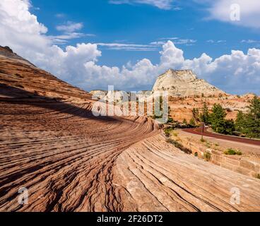 Landschaft im Zion National Park Stockfoto