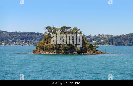 Sonnige Landschaft an der Bay of Islands, einem Gebiet an der Ostküste des Far North District der Nordinsel Neuseelands Stockfoto