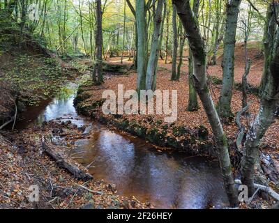 Herrliche Sicht auf die Ashdown Forest in Sussex Stockfoto