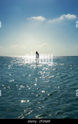 Silhouette eines unidentifizierbaren jungen Mannes im Meer auf dem Stand Up Paddle Board. SUP. Gesunder Lebensstil. Stockfoto