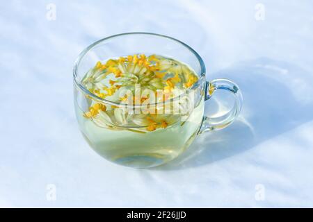 Kräutertee mit den Primula veris Blumen in durchsichtiger Glasschale. Gemeiner Kuhslip, petrella, Schlüssel des Himmels, Kraut peter, Paigle, Schlüssel Blume medizinische HE Stockfoto