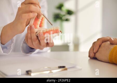 Nahaufnahme eines Plastikmodells des Kiefers in den Händen eines Zahnarztes. Zahnarzt führt Konsultationen durch. Stockfoto