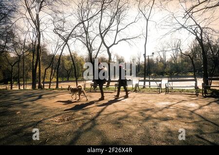 Zu Fuß in Cismigiu Park , Bukarest Stadt, Rumänien Stockfoto