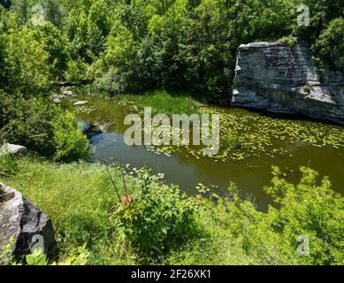 Buky Canyon Sommerlandschaft, Hirskyi Tikych Fluss, Tscherkassy Region, Ukraine. Stockfoto