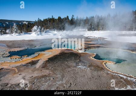 Farbenfrohe blaue Geysir heiße Quellen im Yellowstone Nationalpark im Winter. Winterlandschaft. Keine Personen. Stockfoto