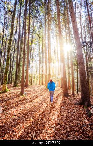 Wandern im Wald, Herbstzeit. Mädchen läuft im herbstlichen Wald, bunten Blättern und Sonnenstrahl Stockfoto