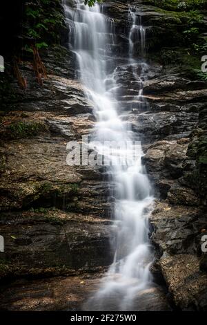 Wunderschöner wasserfall im atlantischen Regenwald im grünen Tijuca Forest Park Stockfoto