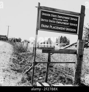 West Stayton (Umgebung) Marion County, Oregon. Wandernde Bohnenpflücker. Ein Saisonbüro wird vom staatlichen Arbeitsamt unterhalten. Das Foto zeigt ein Schild für die Oregon State Employment Service Farm Placement Division. . August 1939. Foto von Dorothea lange Stockfoto