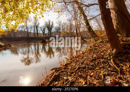 Blick auf den Potomac River, der zwischen Maryland und Virginia verläuft. Diese Herbstlandschaft holt Reflexion von Bäumen und Sonne im ruhigen Wasser. Fa Stockfoto