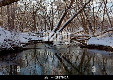 Bäume über den Fluss nach Schneeregen im Moskauer Gebiet Stockfoto