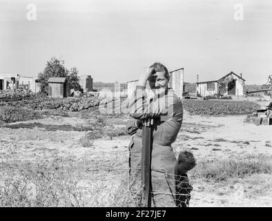 Arkansas Mutter kommt nach Kalifornien für einen Neuanfang, mit Ehemann und elf Kindern. Jetzt eine ländliche Rehabilitation Client. Tulare County, Kalifornien. November 1938. Foto von Dorothea lange Stockfoto