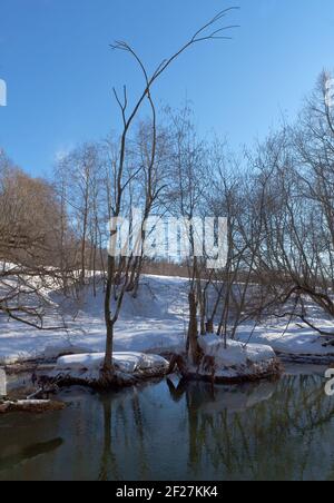 Bäume über dem Fluss nach einem Schneeregen Stockfoto