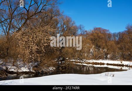 Bäume über dem Fluss nach einem Schneeregen Stockfoto