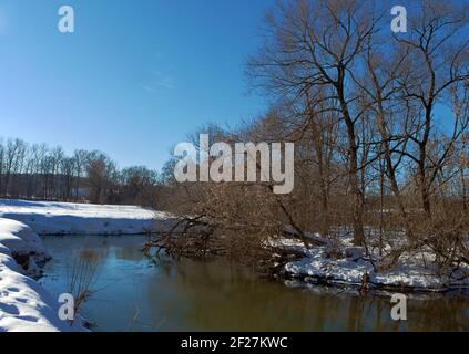 Bäume über dem Fluss nach einem Schneeregen Stockfoto