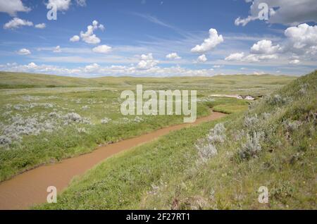 Grasslands National Park Stockfoto