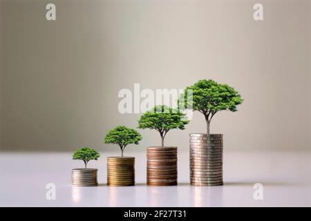 Zeigt finanzielle Entwicklungen und Geschäftswachstum mit einem wachsenden Baum auf einer Münze. Stockfoto