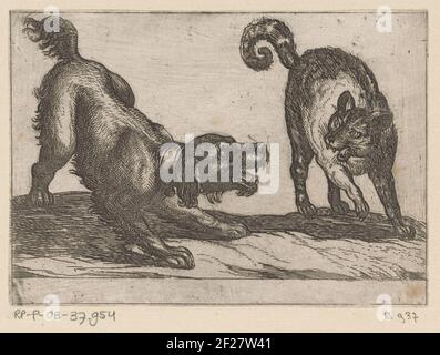 Ein Hund, der mit einer Katze kämpft; kämpfende Tiere .. Stockfoto