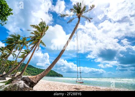 Schaukel befestigt an einer Palme in der idyllischen Sao Strand in Phu Quoc Insel, Vietnam. Sao Strand ist einer der besten Strände von Vietnam. Stockfoto