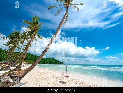 Schaukel befestigt an einer Palme in der idyllischen Sao Strand in Phu Quoc Insel, Vietnam. Sao Strand ist einer der besten Strände von Vietnam. Stockfoto