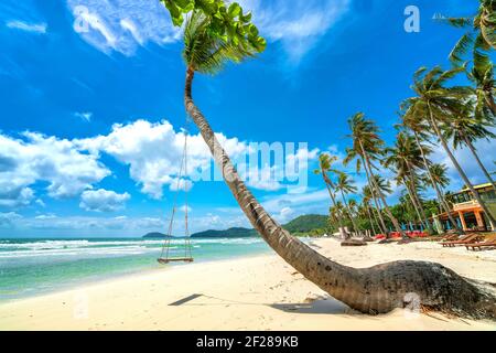 Schaukel befestigt an einer Palme in der idyllischen Sao Strand in Phu Quoc Insel, Vietnam. Sao Strand ist einer der besten Strände von Vietnam. Stockfoto