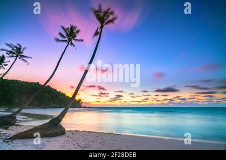 Morgendämmerung an einem einsamen Strand mit schönen schiefen Kokospalmen mit Blick auf das Meer und einem schönen dramatischen Himmel Smaragd Phu Quoc Insel, Vietnam Stockfoto