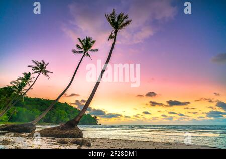 Morgendämmerung an einem einsamen Strand mit schönen schiefen Kokospalmen mit Blick auf das Meer und einem schönen dramatischen Himmel Smaragd Phu Quoc Insel, Vietnam Stockfoto