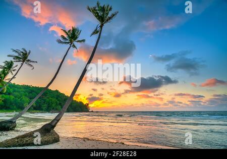 Morgendämmerung an einem einsamen Strand mit schönen schiefen Kokospalmen mit Blick auf das Meer und einem schönen dramatischen Himmel Smaragd Phu Quoc Insel, Vietnam Stockfoto