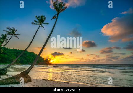 Morgendämmerung an einem einsamen Strand mit schönen schiefen Kokospalmen mit Blick auf das Meer und einem schönen dramatischen Himmel Smaragd Phu Quoc Insel, Vietnam Stockfoto