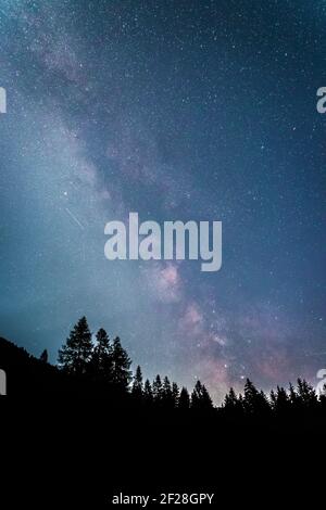 Deutlich Milchstraße Galaxie in dunkler Nacht, Silhouette von Bäumen Stockfoto