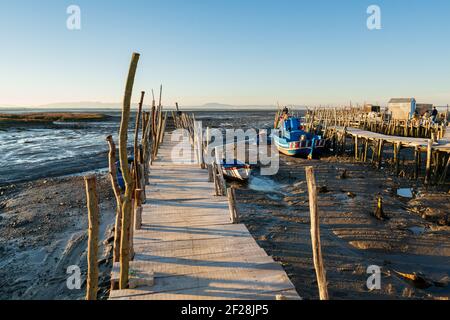 Carrasqueira Palafitic Pier in Comporta, Portugal mit Fischerbooten Stockfoto