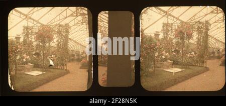 Stereofoto... Stockfoto