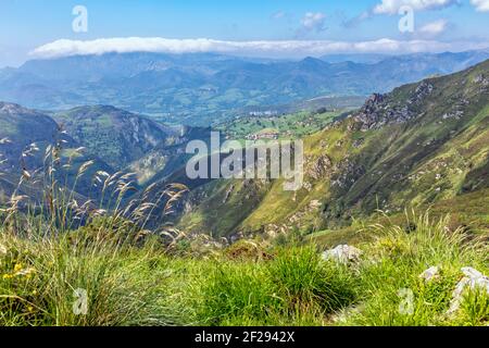 Landschaft im Nationalpark Picos de Europa, Asturien, Spanien. Parque Nacional de los Picos de Europa. Stockfoto