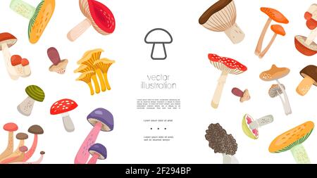 Flache Waldpilzvorlage mit Pfifferlingen Russulas Champignon boletus Shiitake morel fliegen agarische Pilze Vektor-Illustration Stock Vektor