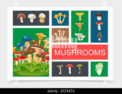 Flache Waldpilze Zusammensetzung mit Shiitake Pfifferlinge Morcheln toadstools Täubling Champignon Honig und Fliege Agaric Steinpilze Austernpilze Vektor i Stock Vektor