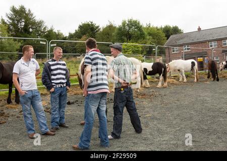 Männer, die Pferde im Ballycastle Livestock Mart auf der Auld Lammas Fair, Ballycastle, Moyle, County Antrim, Nordirland, VEREINIGTES KÖNIGREICH Stockfoto