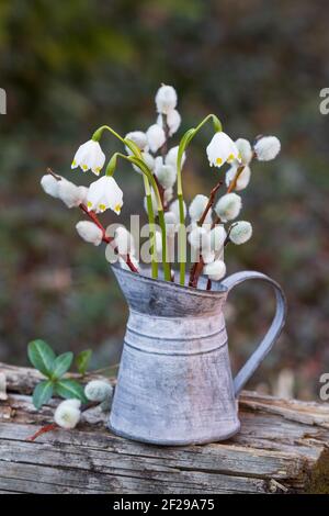 Bouquet von Schneeflocken und Weidenkätzchen in Vintage Krug als Frühlingsdekoration Stockfoto