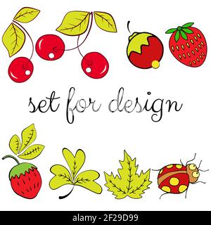 Set aus roten Beeren, grünen Blättern und einem Marienkäfer auf weißem Hintergrund. Für Ihr Design romantische oder Vintage-Design zu schaffen. Vektorgrafik, EPS Stock Vektor