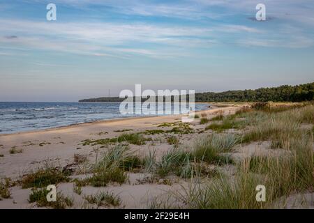 Dünengras an einem Sandstrand Ostsee Rigaer Golf Am sonnigen Abend Stockfoto