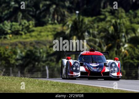 02 UNITED AUTOSPORTS (GBR) LIGIER JS P3 LMP3 CHRIS BUNCOMBE (GBR) GARRET GRIST (CAN) WAYNE BOYD (GBR) während der Asian le Mans Series Championship 2018 / 2019, 4 Stunden von Sepang, 22. Bis 24. februar 2019, Malaysia - Foto Clement Marin / DPPI Stockfoto