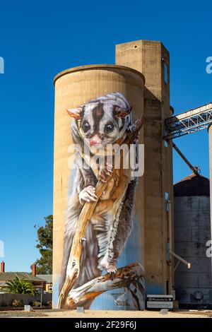 Handgelenk-Ringelsegler Silo Art in Rochester, Victoria, Australien Stockfoto