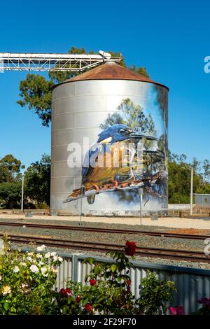 Azure Kingfisher Silo Art in Rochester, Victoria, Australien Stockfoto