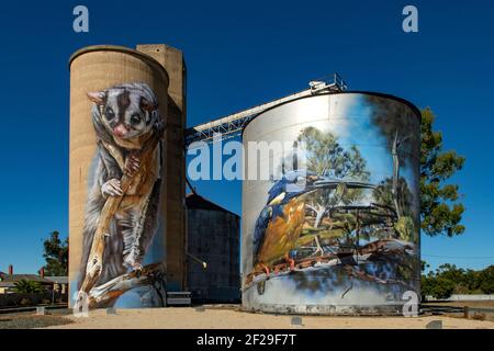 Silo Art in Rochester, Victoria, Australien Stockfoto